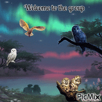 welcome owl