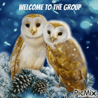 welcome owl animoitu GIF