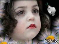 enfant et colombe - GIF animado grátis