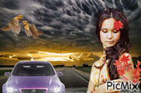 Vtouw vogels auto en zonsondergang animasyonlu GIF