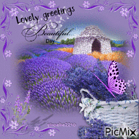 Lavender Greetings