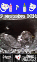 Futur petite fille ou petit fils -7 mois - Darmowy animowany GIF