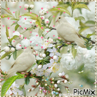 Happy spring to you! - Free animated GIF
