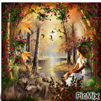 girl and wolves