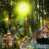 Sunset in the woods GIF animado