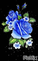 Blaue Rosen - Gratis geanimeerde GIF