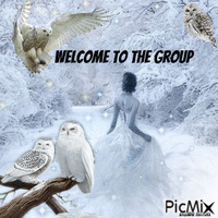 welcome owl