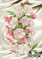 jarné kvety animovaný GIF
