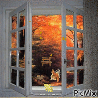 Autumn Window GIF แบบเคลื่อนไหว