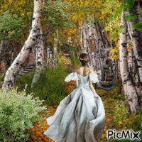 fantasy woods GIF animé