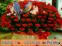 Leticia Aguilar - Besplatni animirani GIF
