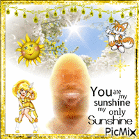 lebron james you are my sunshine アニメーションGIF
