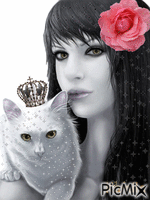Lady and cats - GIF animé gratuit