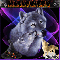 Howling Grey Wolf animerad GIF