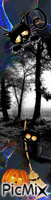 Black Forrest - Bezmaksas animēts GIF