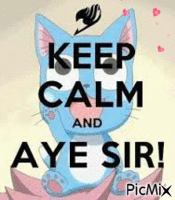 keep calm and aye sir! - Nemokamas animacinis gif