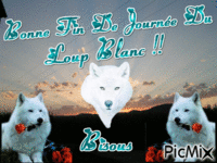 Loup blanc !! - GIF animasi gratis