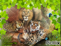 Zwierzęta - Безплатен анимиран GIF