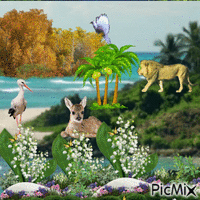 nature - Free animated GIF