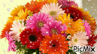 flowers Animated GIF