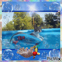 Summer relax time - GIF animate gratis