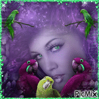 Face of woman with parrots - Purple and green tones