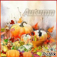 Herbstkürbisse - GIF animado grátis