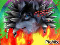 vlk v ohni - Zdarma animovaný GIF