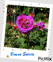 BONNE SOIREE - Gratis geanimeerde GIF