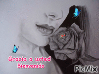 bienvenido - Бесплатный анимированный гифка