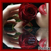 baiser rose - GIF animé gratuit