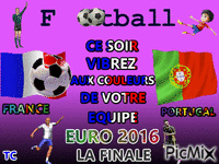 EURO2016 animovaný GIF