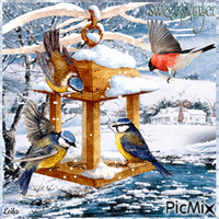 Sweet Winter Day. Birds - Бесплатни анимирани ГИФ
