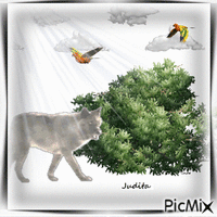 vlk - Bezmaksas animēts GIF