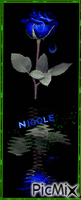 nicole - Gratis geanimeerde GIF