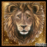 Lion head анимированный гифка