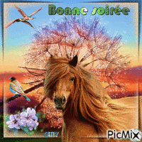 BONNE SOIRÉE Animated GIF