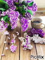 Spring, May, Lilac - GIF animé gratuit