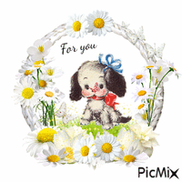 vintage dog, daisies, for you text contest