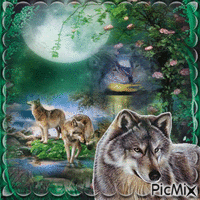 Lune et Loups