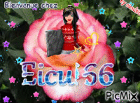eiculeur66 - GIF animé gratuit
