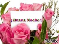 ¡ Buena Noche ! - Bezmaksas animēts GIF