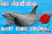 les daufains - Ingyenes animált GIF