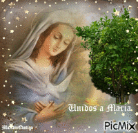 UNIDOS A MARÍA 120816 анимированный гифка