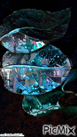 turquoise - Bezmaksas animēts GIF