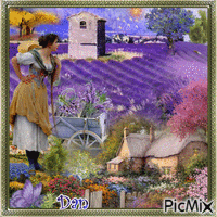 La Provence 💙🌺concours