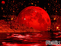 moonlight - Animovaný GIF zadarmo