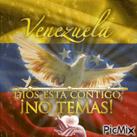VENEZUELA - Bezmaksas animēts GIF