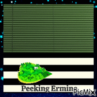 Peeking Ermine - GIF animate gratis