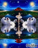 озеро для лебедей - танцпол - 免费动画 GIF
